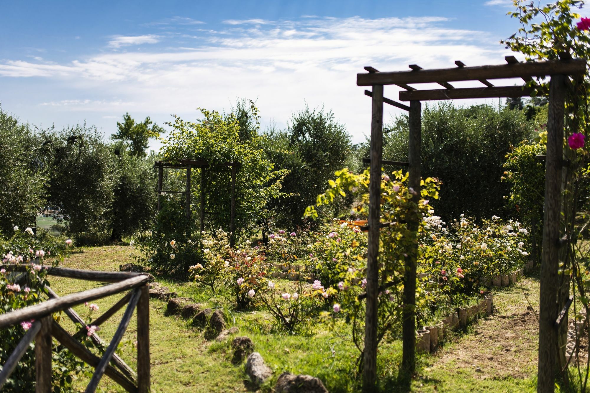 Orvieto Aroma Rooms 2 ภายนอก รูปภาพ