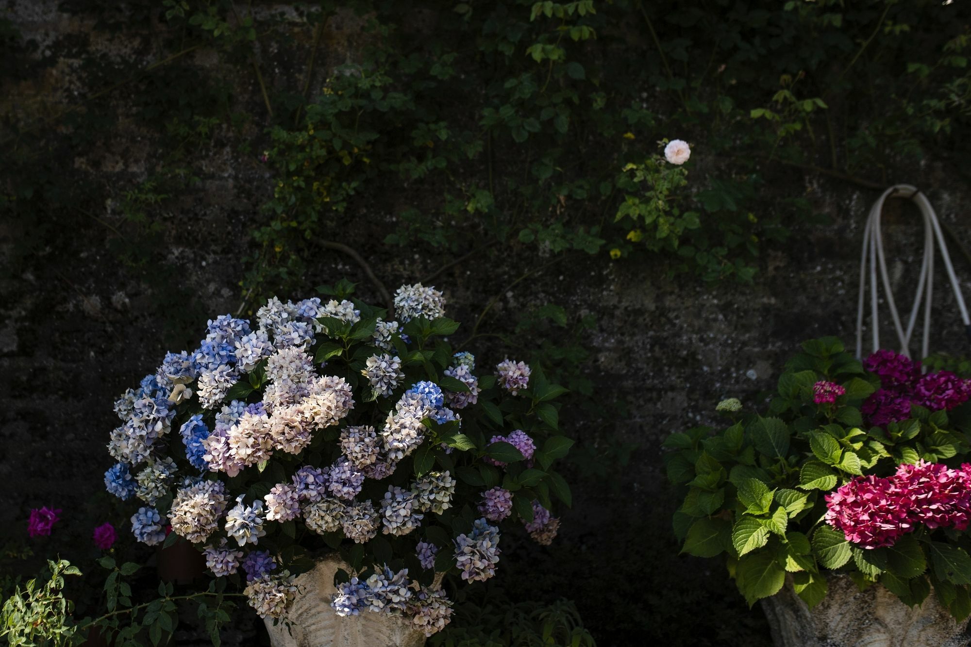 Orvieto Aroma Rooms 2 ภายนอก รูปภาพ