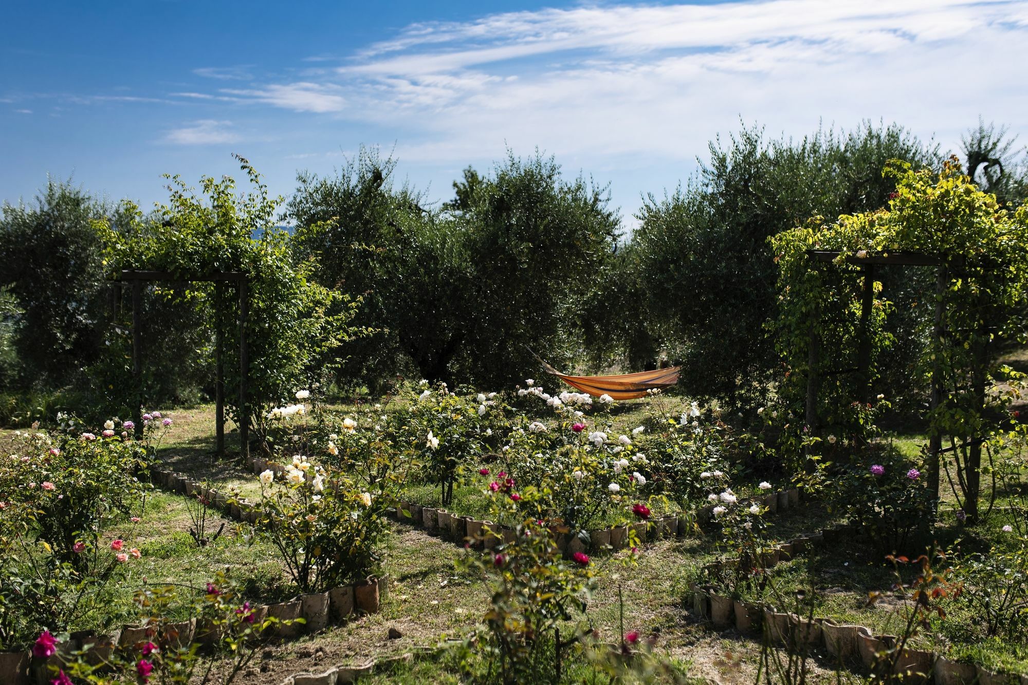 Orvieto Aroma Rooms 2 ภายนอก รูปภาพ